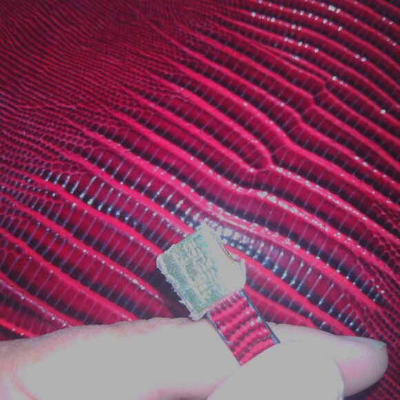 Red Crocodile Estee Lauder Slim Travel Case - Picture 3 of 5